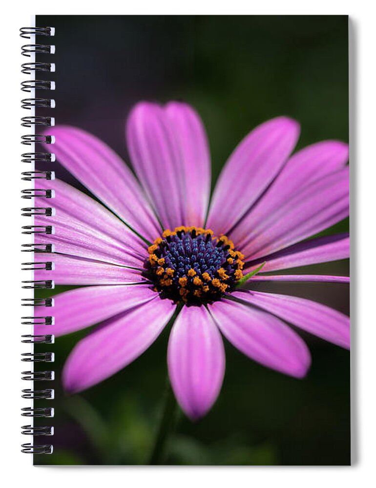 Flower Spiral Notebook featuring the photograph Soft Petals by Andrea Silies