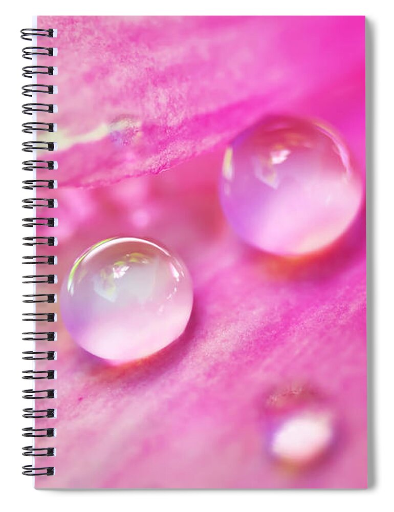 Photography Spiral Notebook featuring the photograph Soft Pink Water Droplets by Kaye Menner