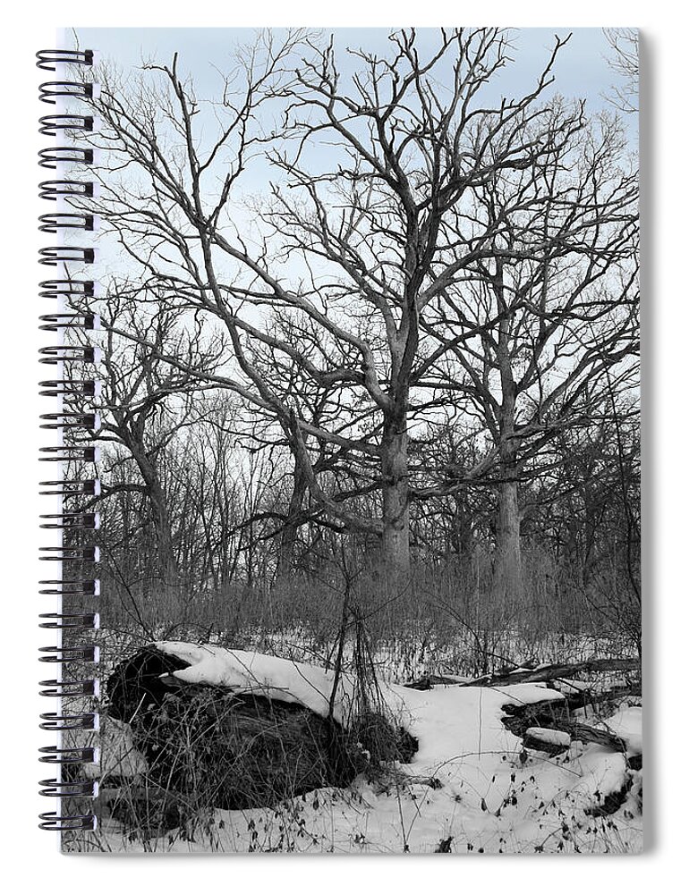 Color Desaturation Spiral Notebook featuring the photograph Soft Winter Blues by Dylan Punke