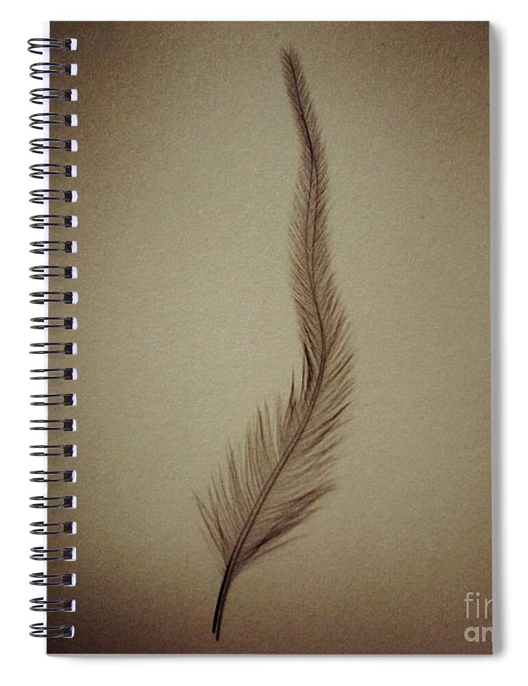 Feather Spiral Notebook featuring the photograph Softly by Denise Railey