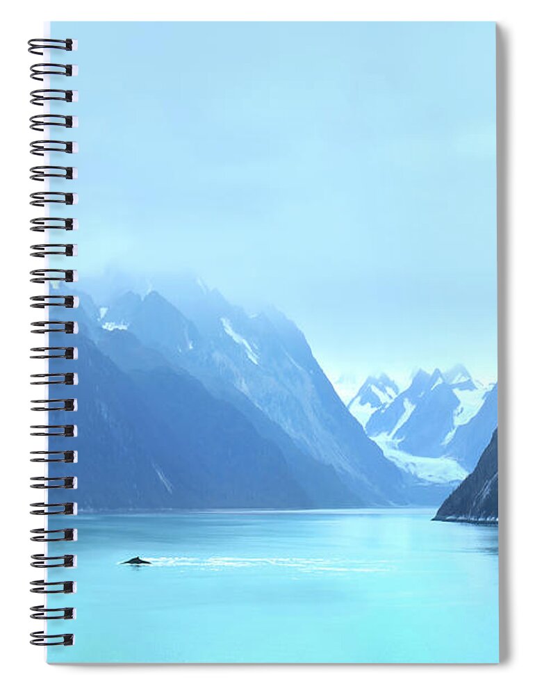 Humpback At Glacier Bay Spiral Notebook featuring the photograph Sojourn by John Poon