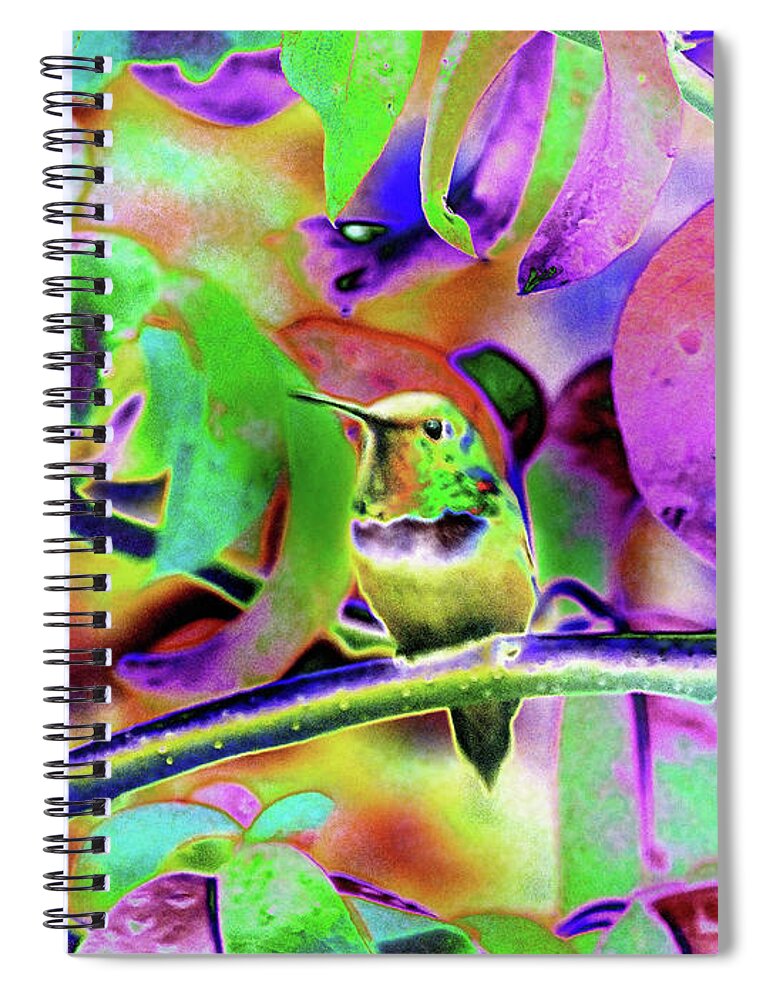Hummingbirds Spiral Notebook featuring the photograph Solarized Hummer by Wendy McKennon