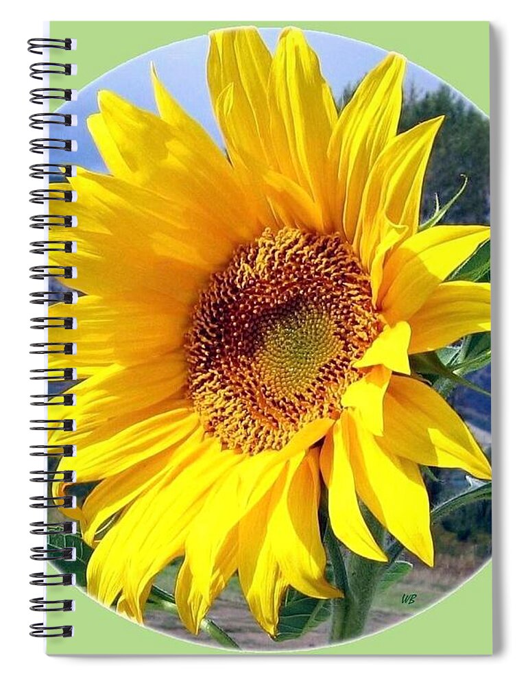 Sunflower Spiral Notebook featuring the photograph Solid Sunshine by Will Borden
