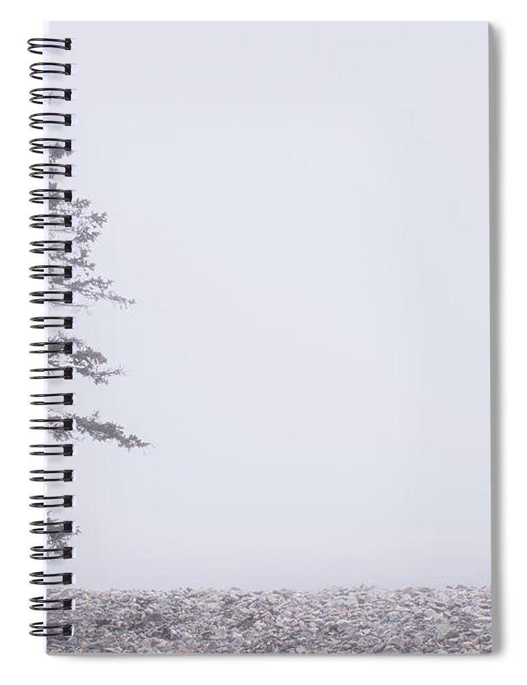 Tree Spiral Notebook featuring the photograph Solitary by Holly Ross