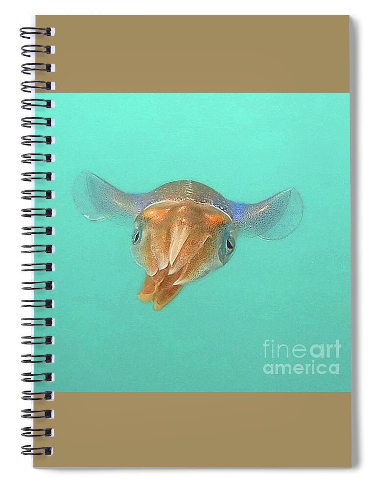 Underwater Spiral Notebook featuring the photograph Solitary Squid by Daryl Duda