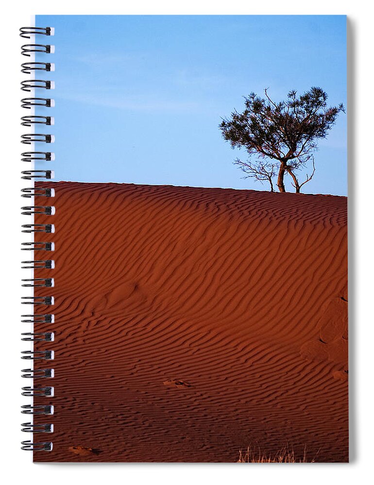 Sand Spiral Notebook featuring the photograph Solitary tree in the Desert by Catherine Reading