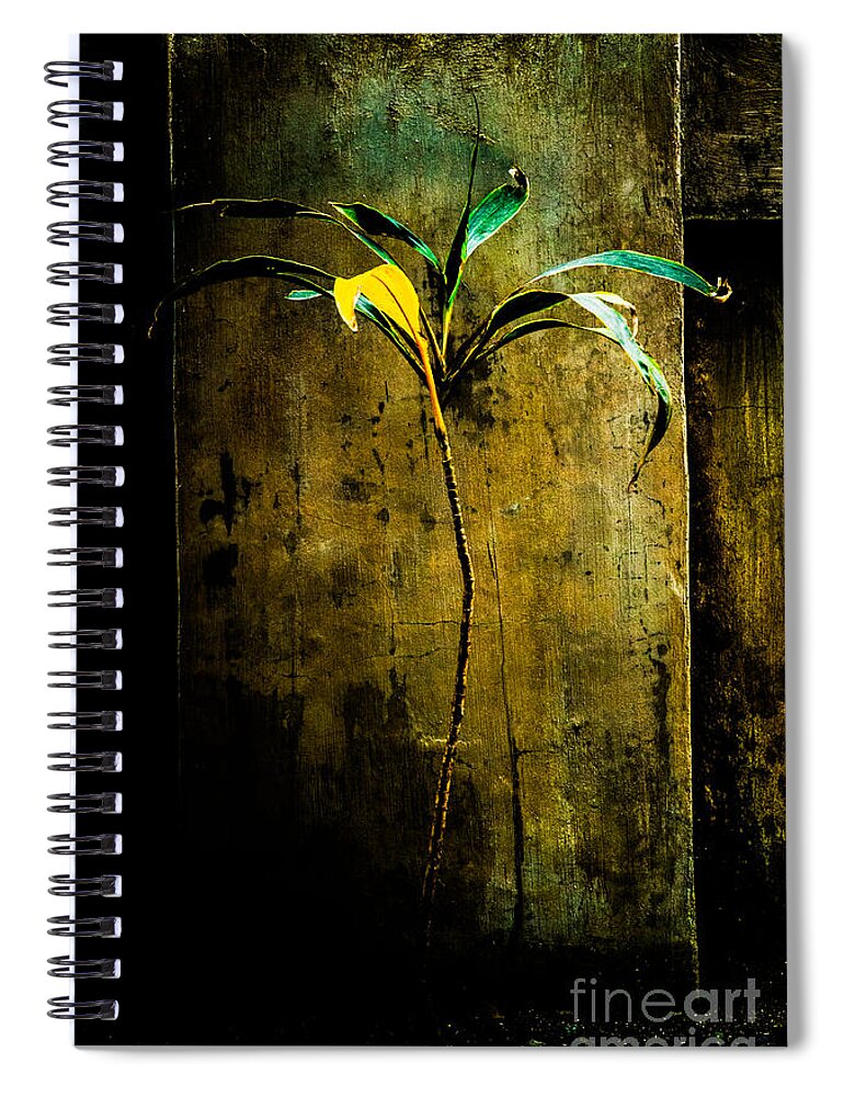 Church Spiral Notebook featuring the photograph Solitude Struggles And Beauty by Michael Arend