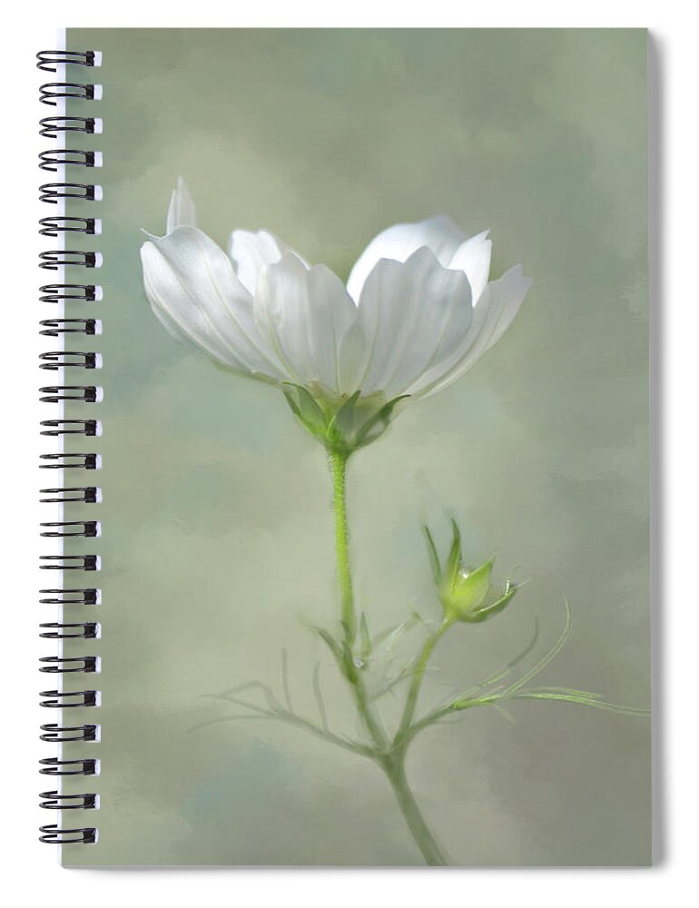  Cosmos Spiral Notebook featuring the photograph Solo Cosmo by Ann Bridges