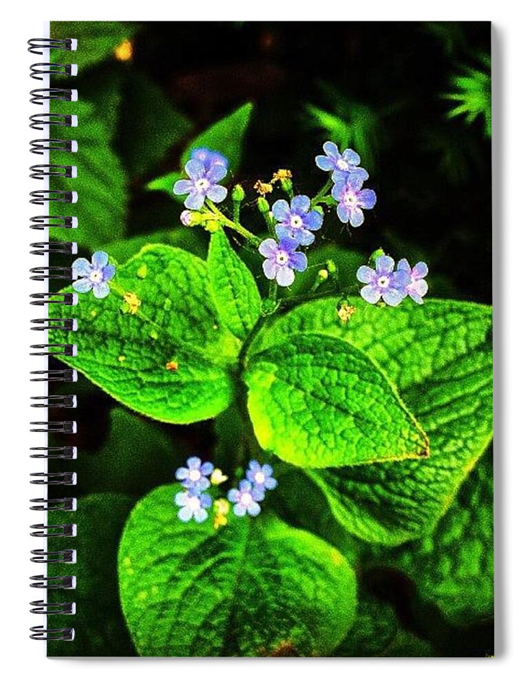 Flowers Spiral Notebook featuring the photograph Sometimes the Most Brilliant Are So Tiny by Nick Heap