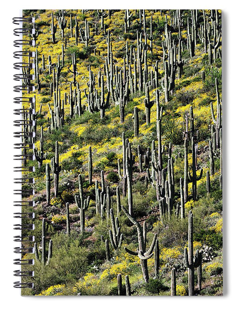 Horizontal Spiral Notebook featuring the photograph Sonoran Desert, Arizona by Patrick McGill