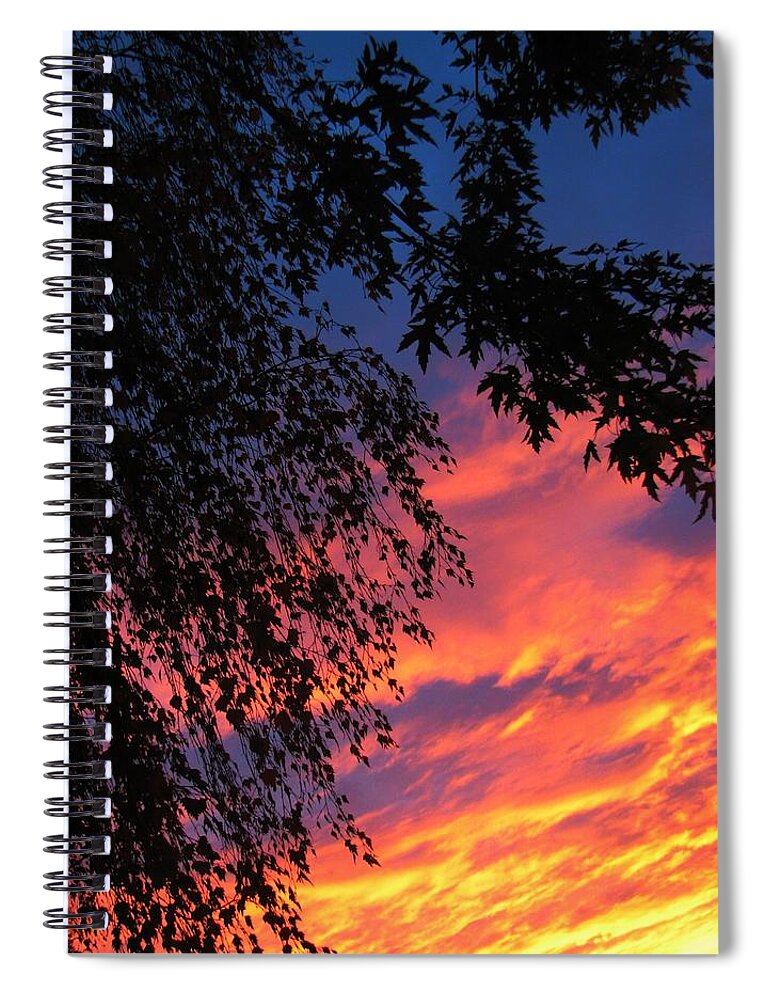 Tree Spiral Notebook featuring the photograph Sorrow by Chris Dunn