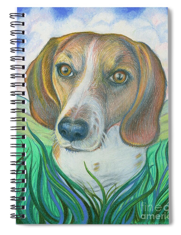 Dog Cat Domestic Bird Horse Sheep Pig Animals Spirit Soul Drawing Portrait Companion Domesticated Ferret Mouse In Memory Memorial Pet Spiral Notebook featuring the drawing Soul Portrait of Kallie by Debra Hitchcock