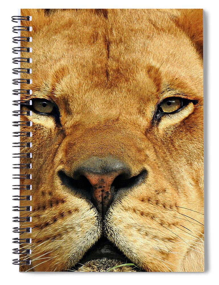 Soul To Soul Spiral Notebook featuring the photograph Soul to Soul by Dark Whimsy