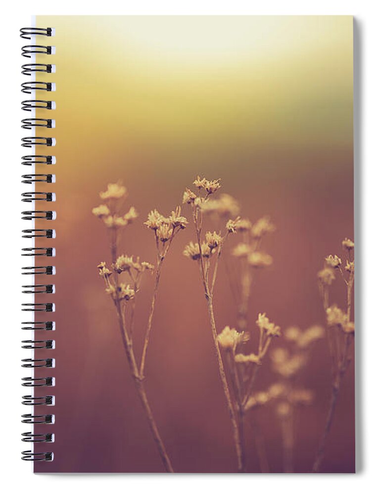  Spiral Notebook featuring the photograph Souls Of Glass by Shane Holsclaw