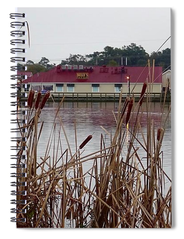  Photo Spiral Notebook featuring the photograph South Carolina Cattails by Karen Francis