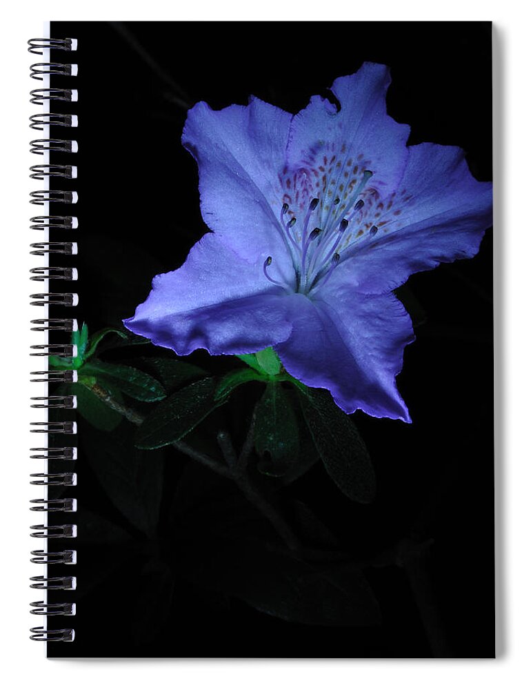 Azalea Spiral Notebook featuring the photograph Southern Indica Azalea 1 by Mark Fuller