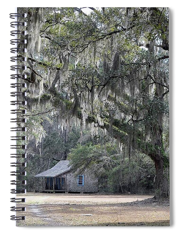 Live Oak Trees Spiral Notebook featuring the photograph Southern Shade by Al Powell Photography USA
