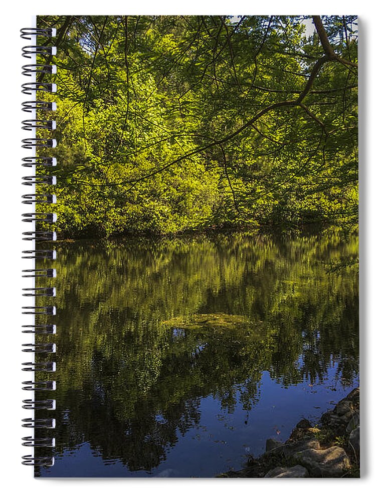 Pond Spiral Notebook featuring the photograph Southern Still Waters by Dale Powell