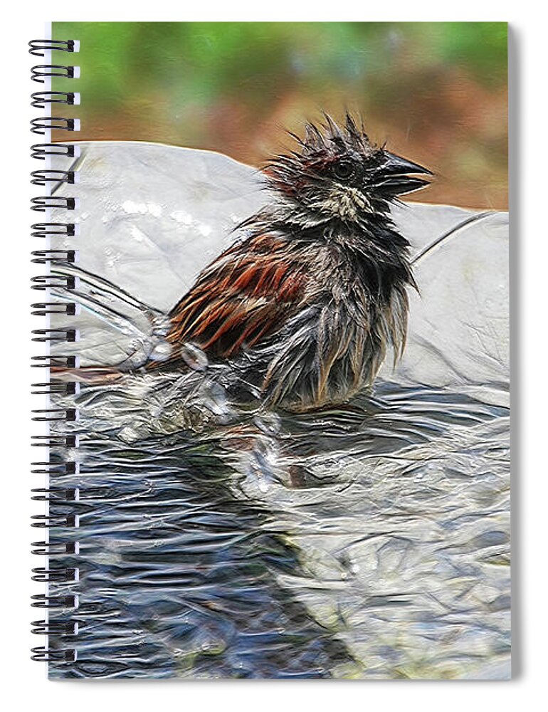 Sparrow Spiral Notebook featuring the digital art Sparrow Bath Time 9242 by Ericamaxine Price
