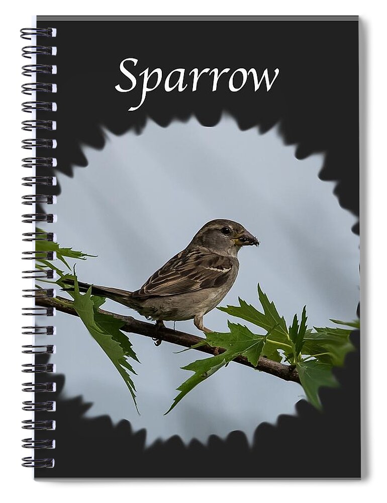 Sparrow Spiral Notebook featuring the photograph Sparrow  by Holden The Moment