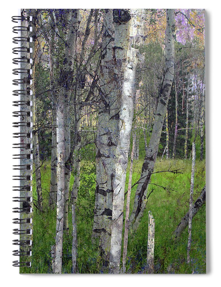 Trees Spiral Notebook featuring the photograph Speaking In Whispers # 3 by Ed Hall