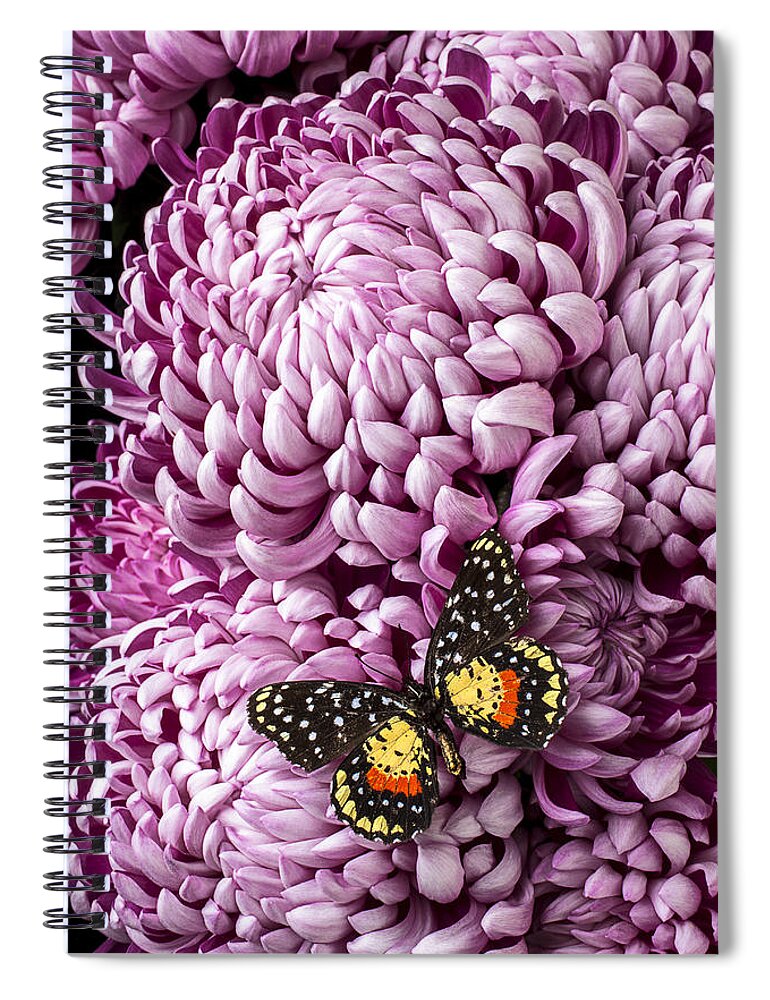 Speckled Butterfly Spiral Notebook featuring the photograph Speckled butterfly on red mum by Garry Gay