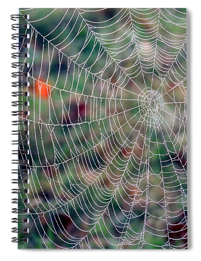 Spider Web Spiral Notebook featuring the photograph Spider Web in Autumn by Janice Drew