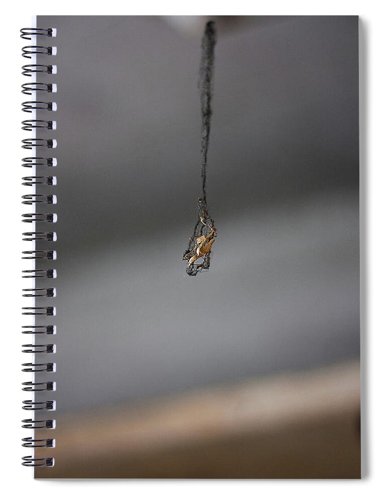 Spider Web Spiral Notebook featuring the photograph Spider Web by Jackie Russo