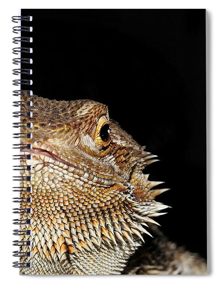 Spiky Spiral Notebook featuring the photograph Spiky by Dark Whimsy