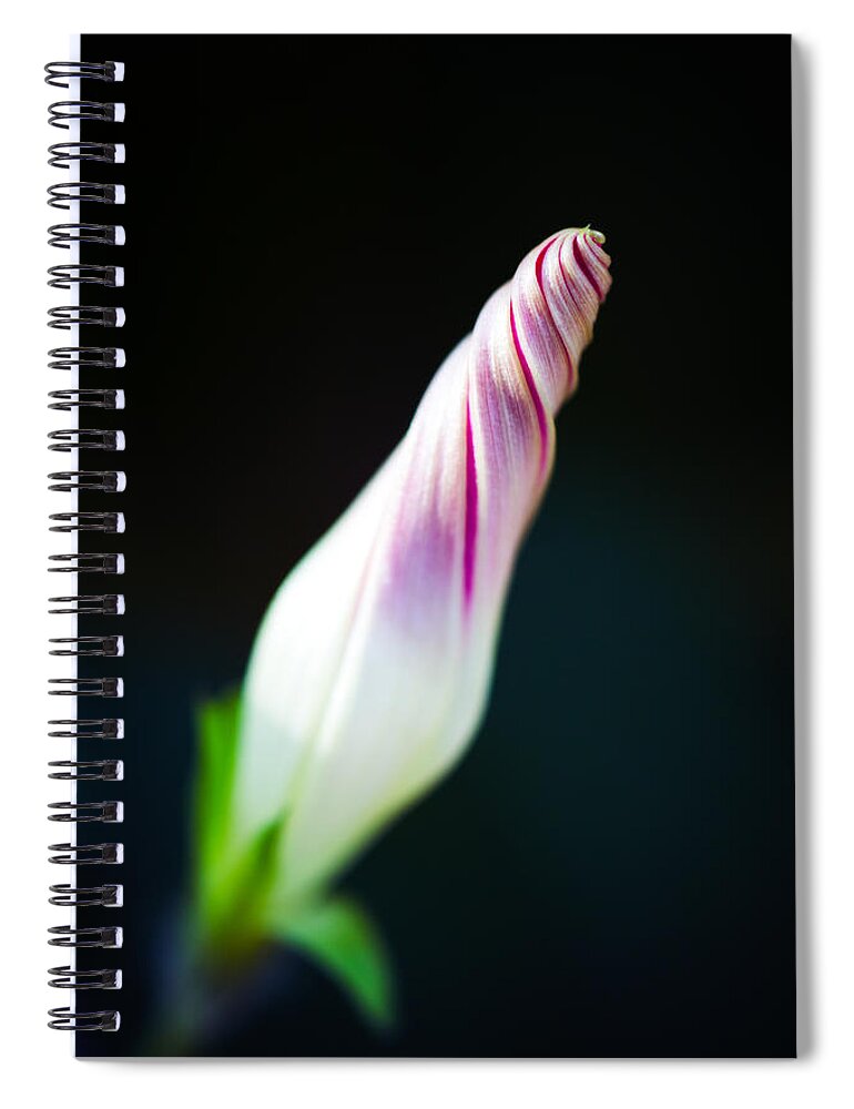 Flowers Spiral Notebook featuring the photograph Spiral by Laura Roberts