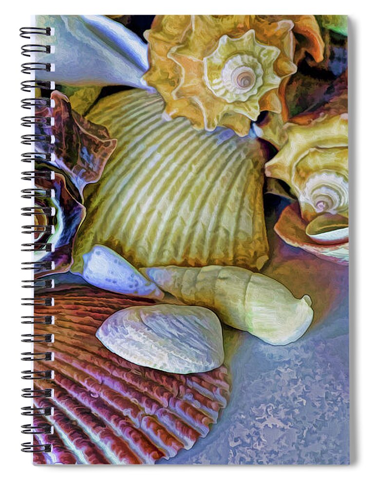 Seashells Spiral Notebook featuring the photograph Spirals and Ridges 12 by Lynda Lehmann