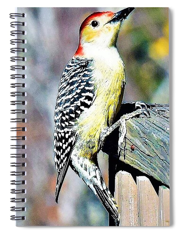 Bird Spiral Notebook featuring the photograph Spirit by Brianna Kelly