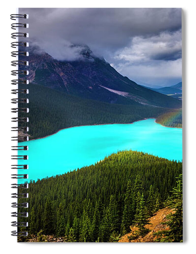 Alberta Spiral Notebook featuring the photograph Spirit Of The Wolf by John Poon