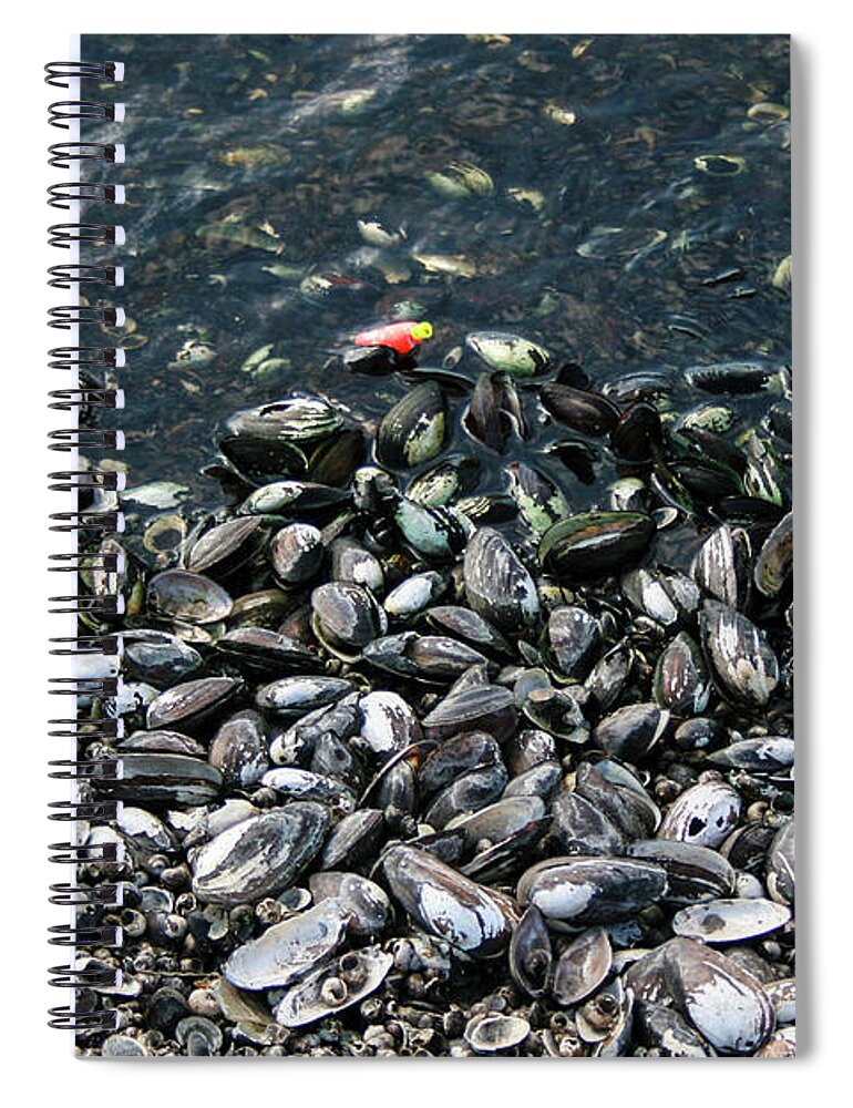 Shell Spiral Notebook featuring the photograph Splash of Color by Robert Wilder Jr