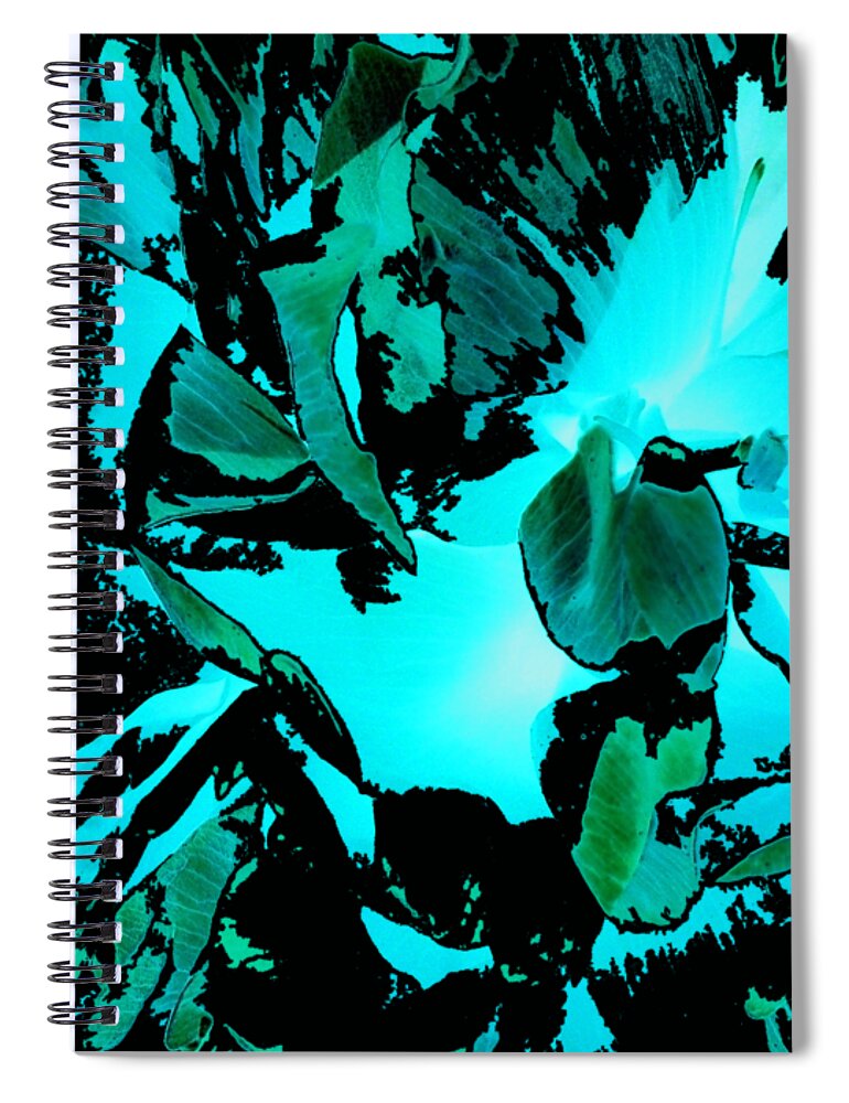 Orphelia Aristal Spiral Notebook featuring the photograph Splash by Orphelia Aristal
