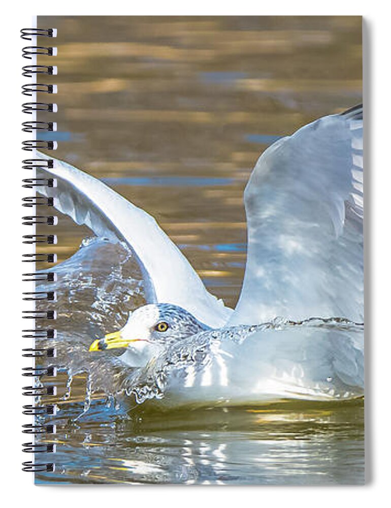 20170128 Spiral Notebook featuring the photograph Splashdown by Jeff at JSJ Photography
