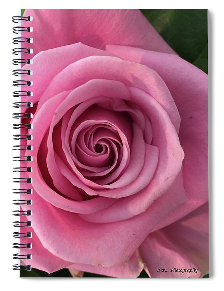 Splendid Spiral Notebook featuring the photograph Splendid Rose by Marian Lonzetta
