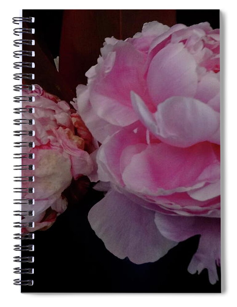 Pink Peony Spiral Notebook featuring the painting Splendor in Pink by Jenny Lee