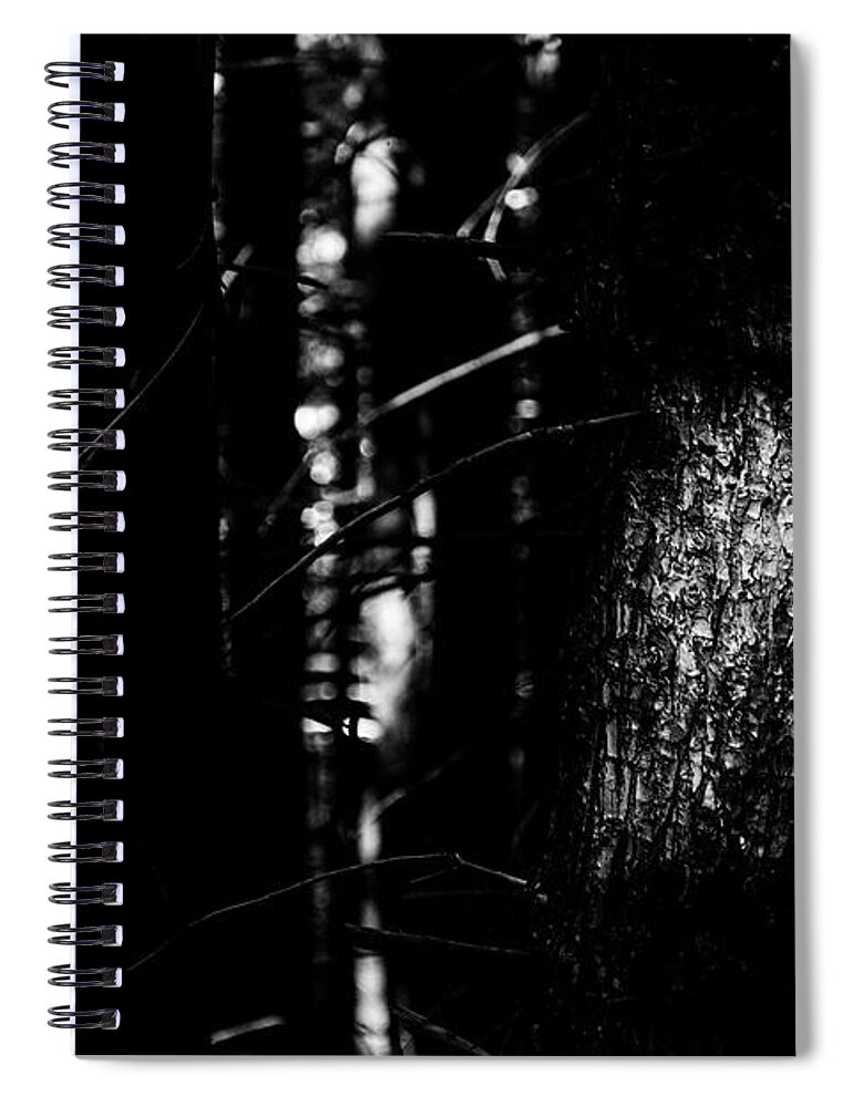 Wilderness Spiral Notebook featuring the photograph Spotlight in the Woods Black and White by Pelo Blanco Photo