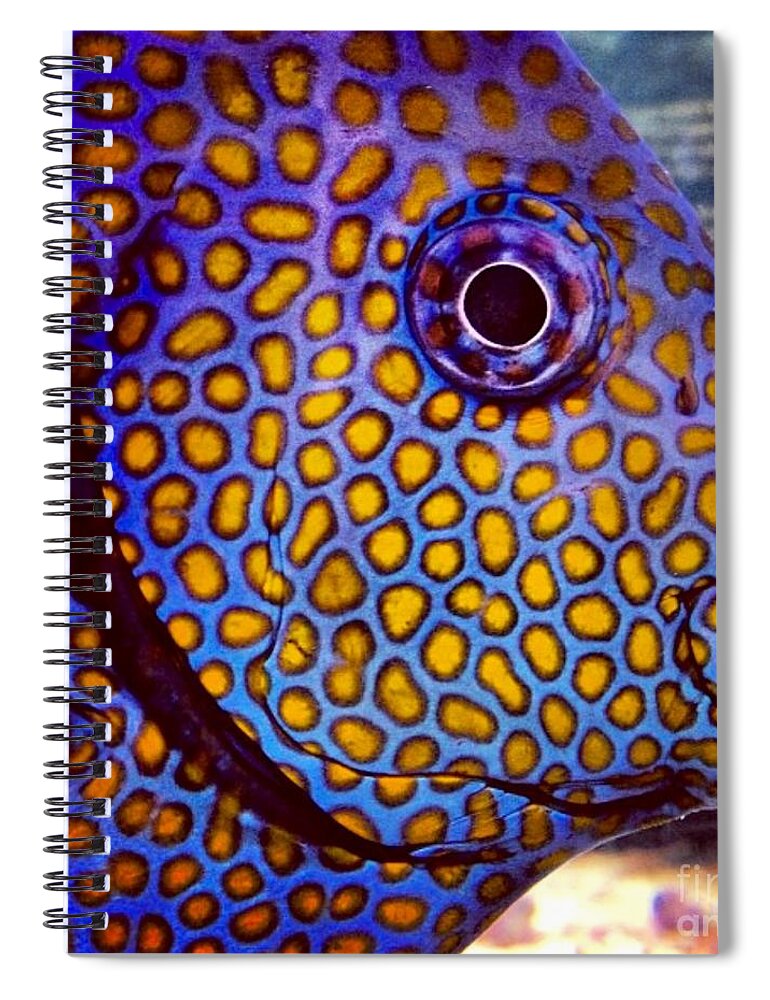 Fish Spiral Notebook featuring the photograph Spots Galore by Denise Railey