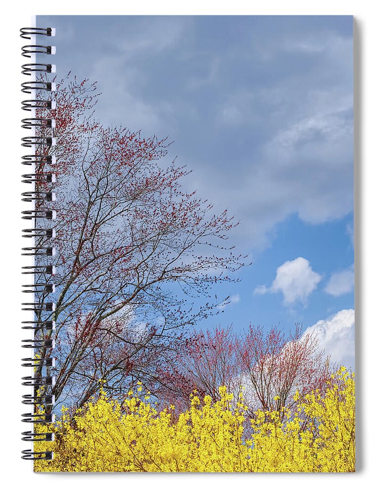 Square Spiral Notebook featuring the photograph Spring 2017 Square by Bill Wakeley