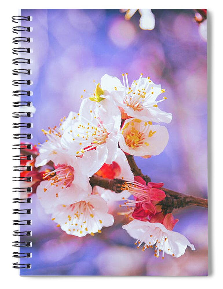 Cherry Blossom Spiral Notebook featuring the photograph Spring Arrives by Becqi Sherman