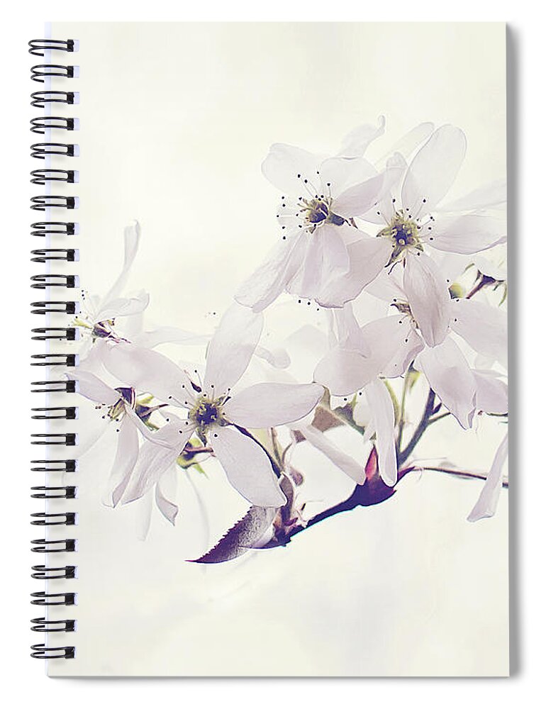 White Blossom Print Spiral Notebook featuring the photograph Spring Blossom Print by Gwen Gibson