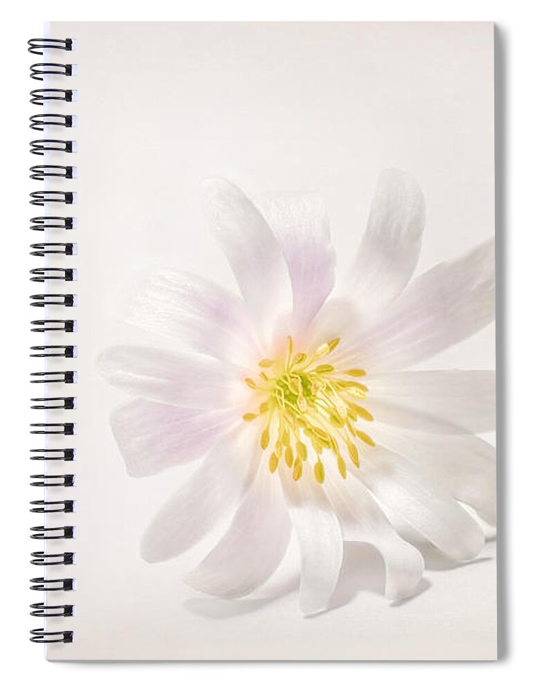 Blossom Spiral Notebook featuring the photograph Spring Blossom by Scott Norris