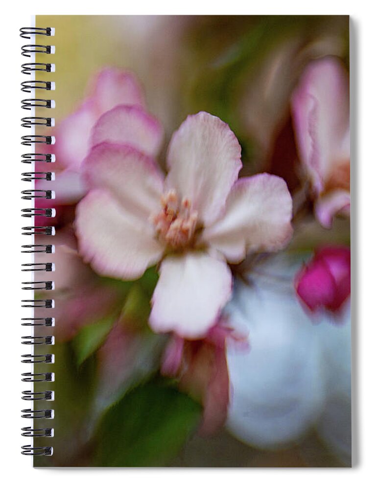 Flower Spiral Notebook featuring the photograph Spring Blossoms by Pamela Taylor