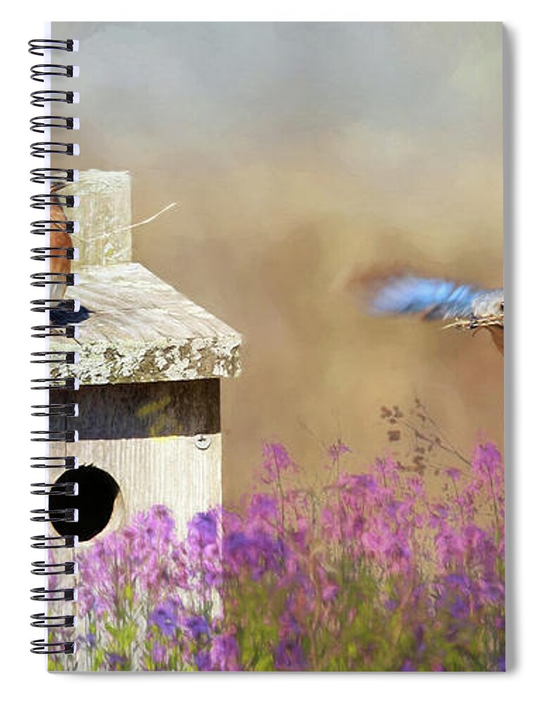 Bluebird Spiral Notebook featuring the photograph Spring Builders by Lori Deiter