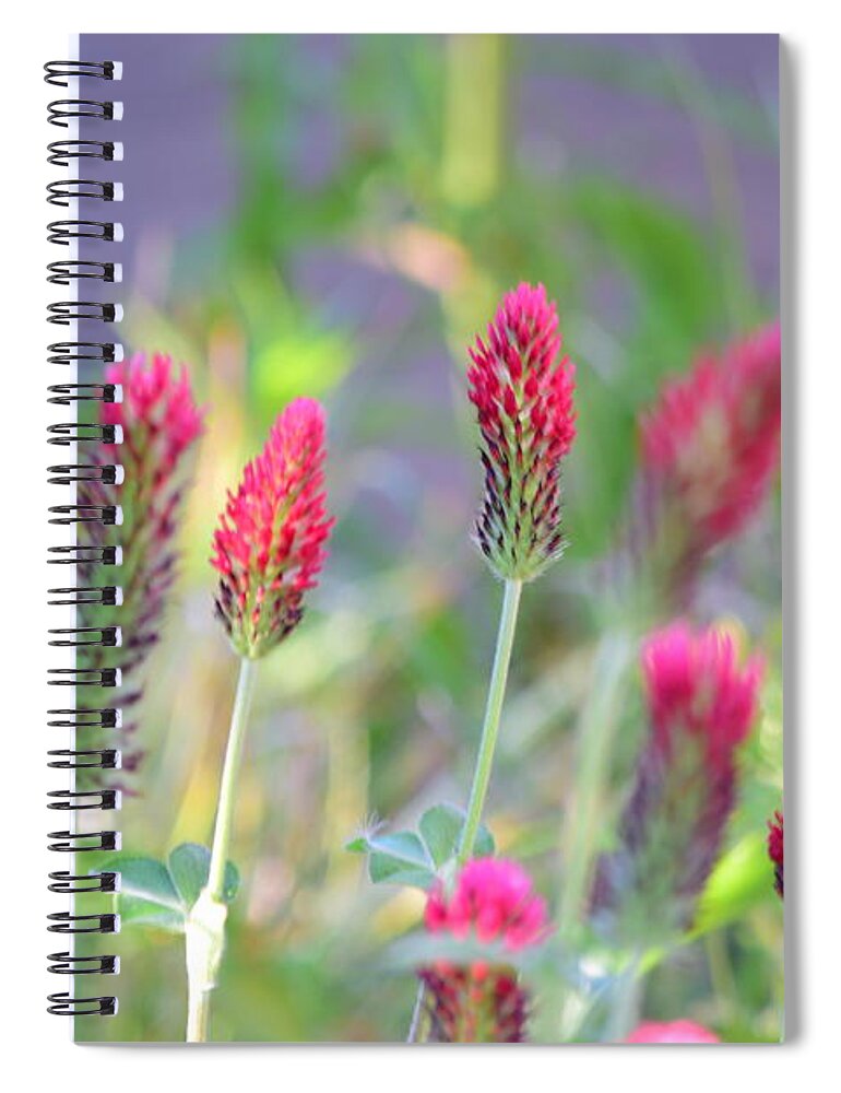 Spring Spiral Notebook featuring the photograph Spring Clover by Bonnie Bruno