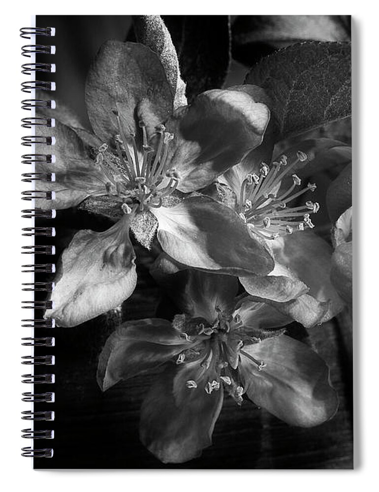 Flower Spiral Notebook featuring the photograph Spring Crabapple 2 by Mike Eingle