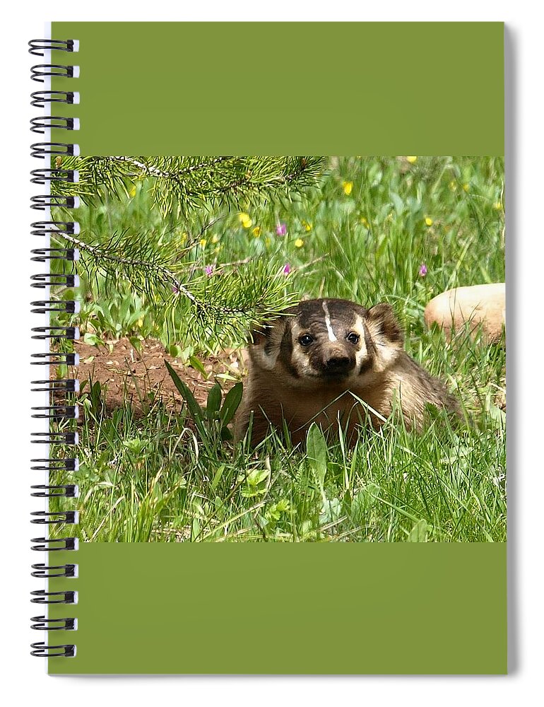 Badger Spiral Notebook featuring the photograph Spring Fever by DeeLon Merritt