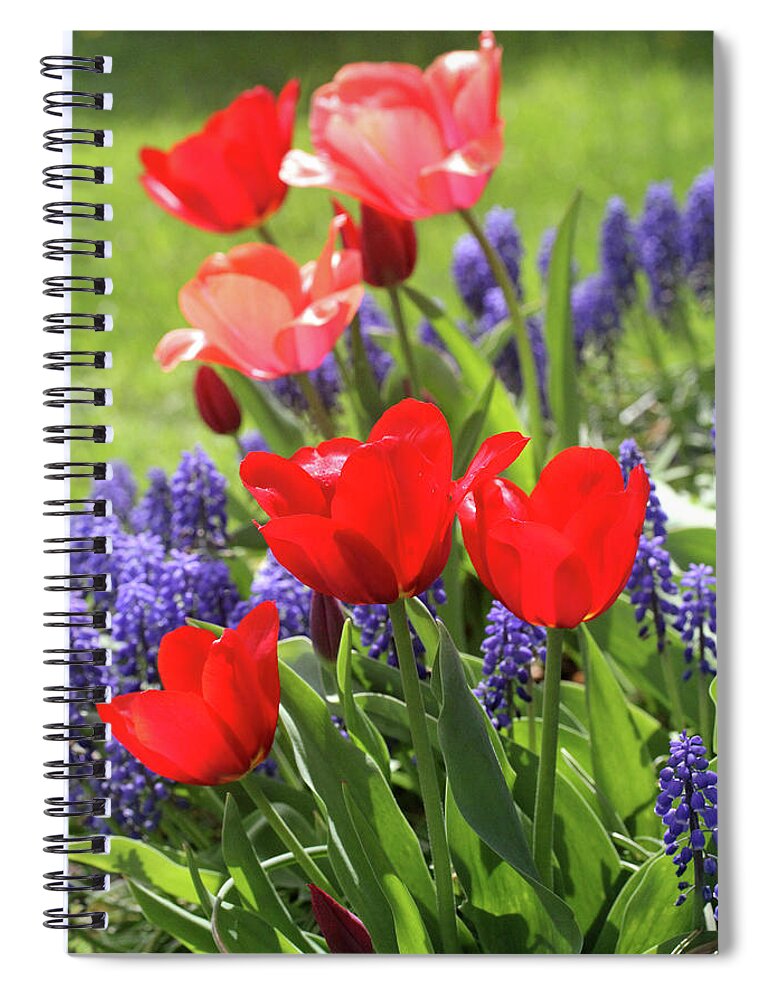 Floral Spiral Notebook featuring the photograph Spring Garden by Trina Ansel